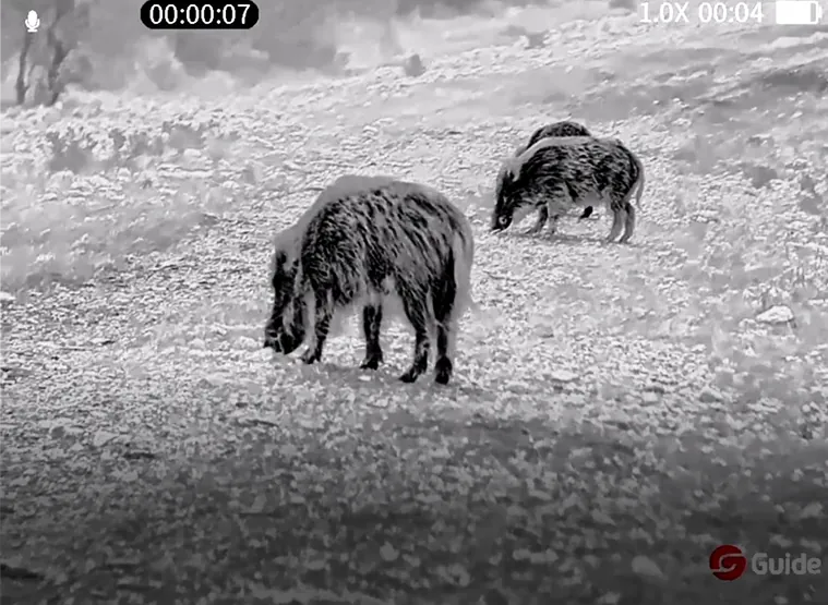 Imagens nítidas