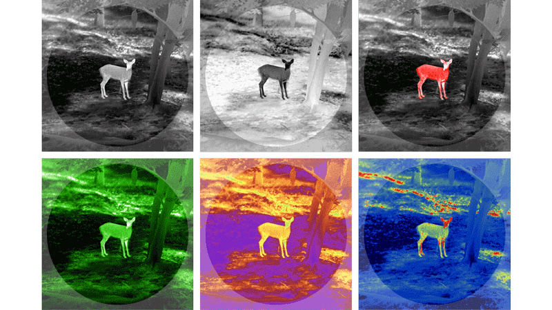 Uma análise aos binóculos de deteção térmica: qual é a diferença entre os binóculos térmicos e os binóculos noturnos?