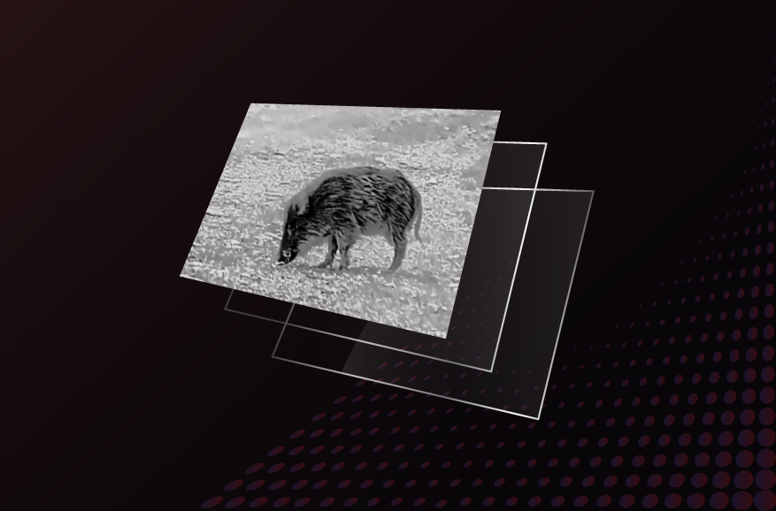 Ecrã AMOLED Full HD