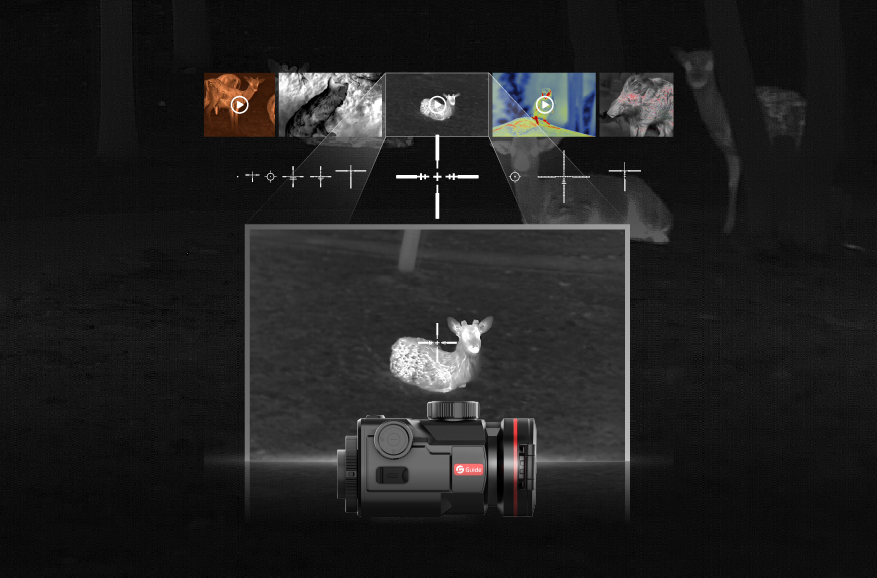 Retículo virtual <br> Visualização de álbuns locais