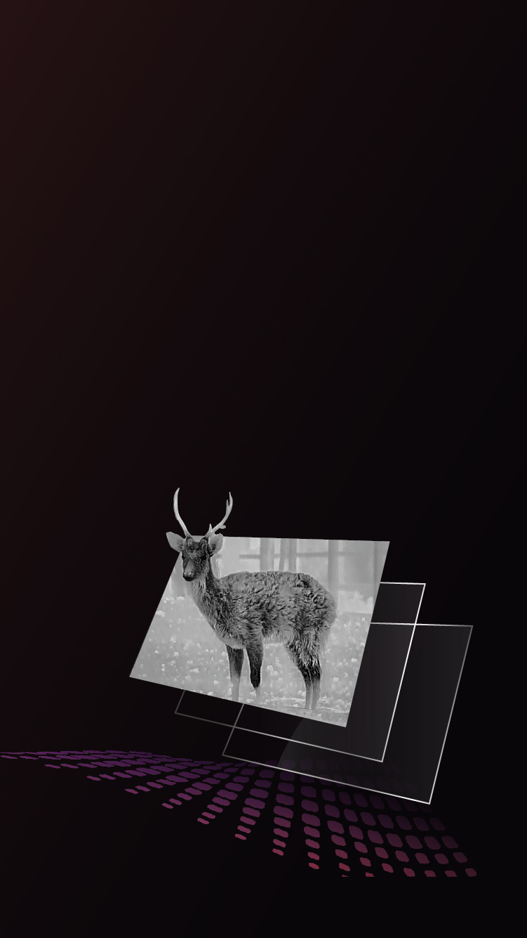 Ecrã AMOLED de 1920 x 1080
