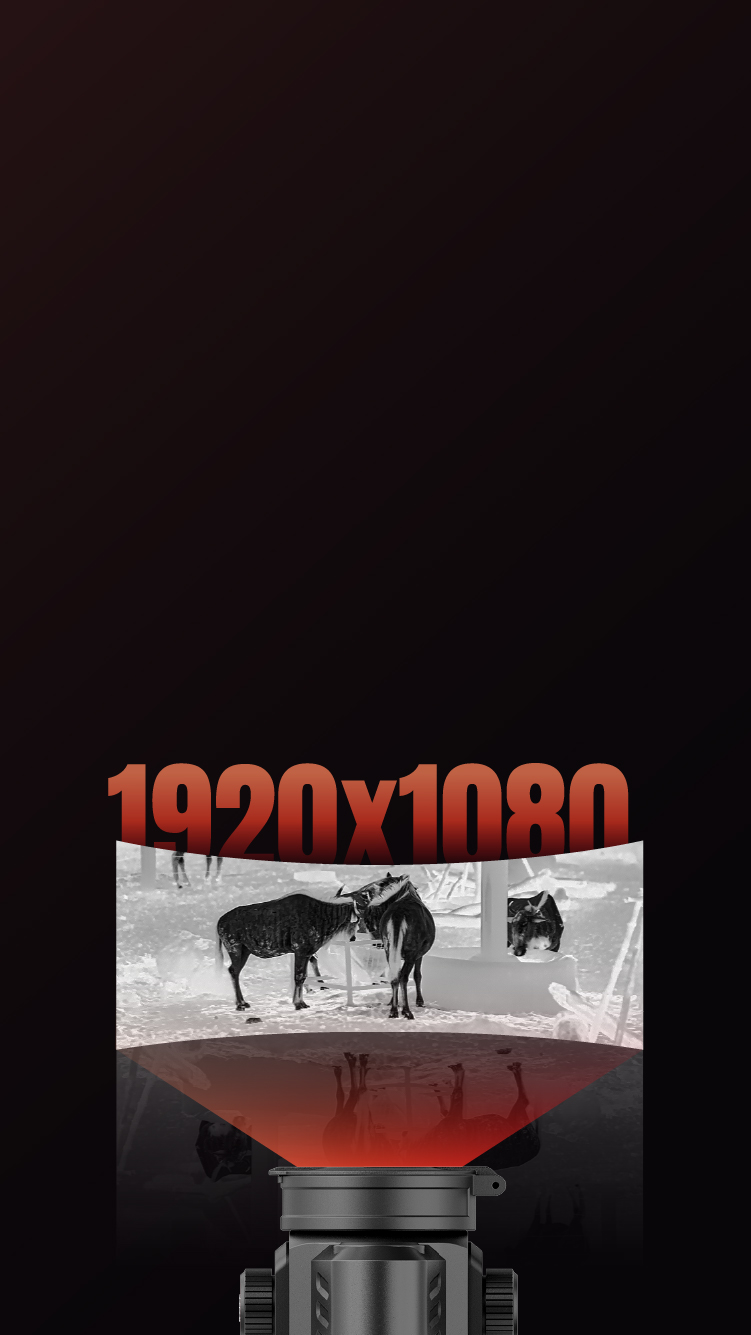 Ecrã AMOLED Full HD 1920x1080