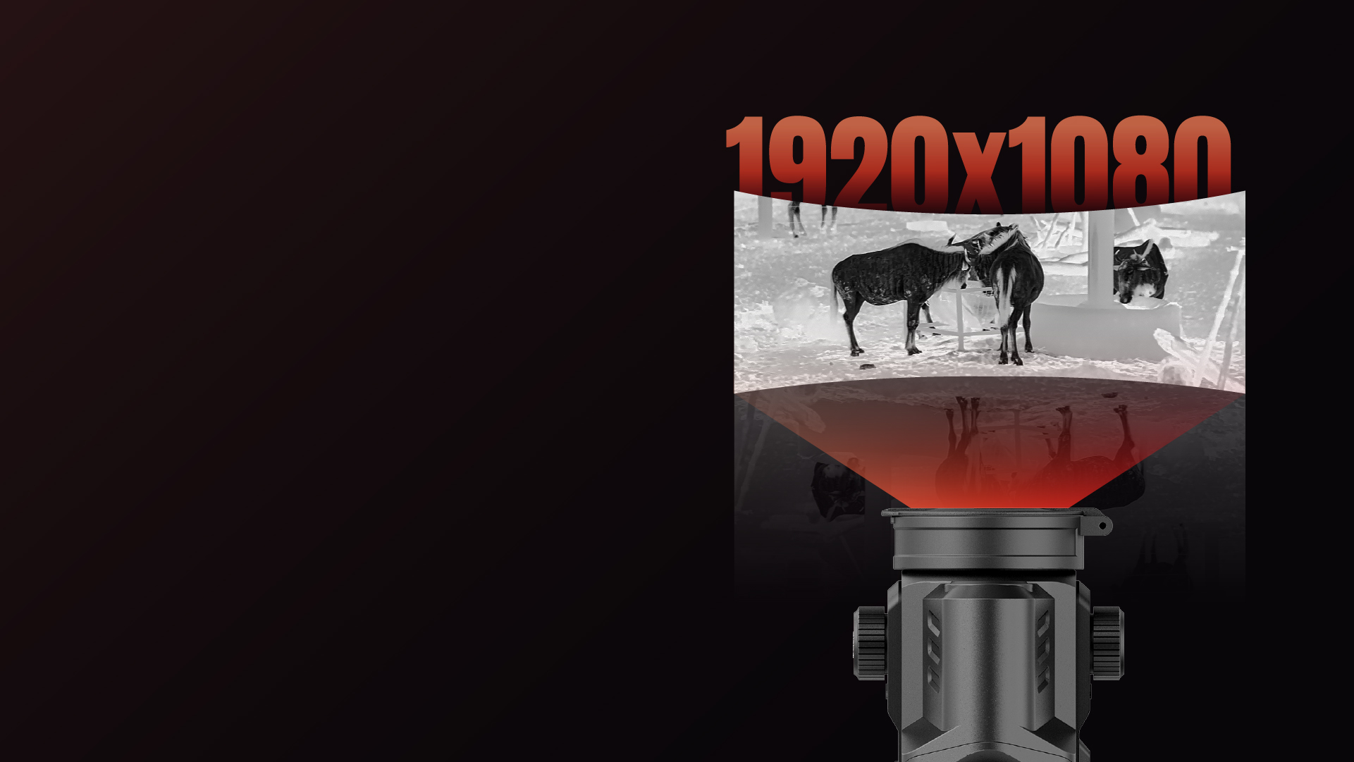 Ecrã AMOLED Full HD 1920x1080
